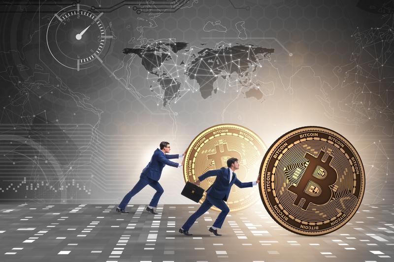 Tailored Recommendations for Different Types of Crypto Investors